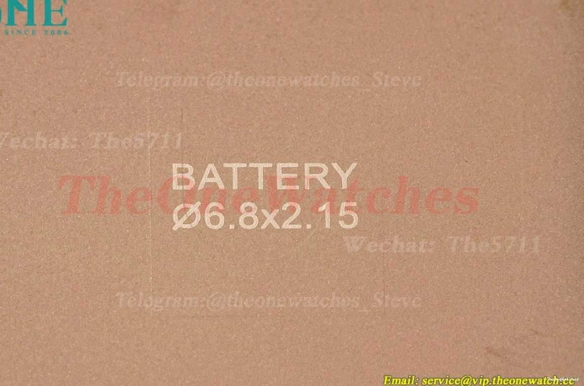 Dumont RG SA AF Quartz Santos Dial Dia Silver Red 0308